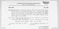 Puccinia rossiana image